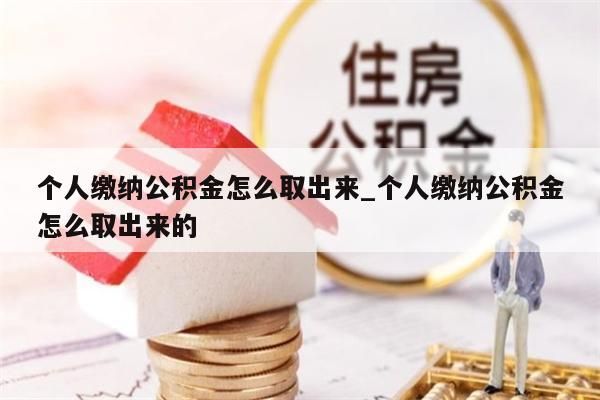 个人缴纳公积金怎么取出来_个人缴纳公积金怎么取出来的